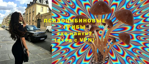 ешки Богородск