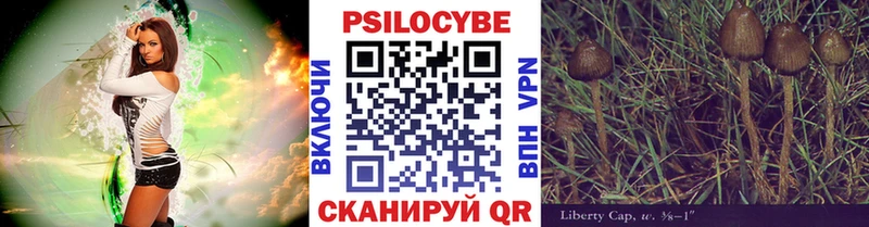 Псилоцибиновые грибы Psilocybe Купить где Зарайск